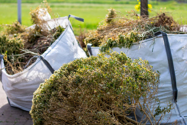 Best Dumpster Rental Services  in Robesonia, PA