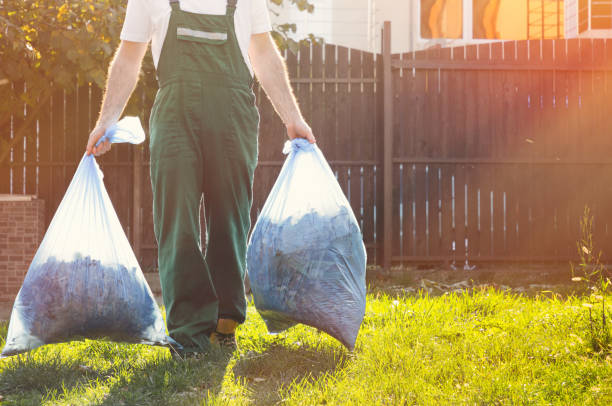 Best Professional Junk Removal  in Robesonia, PA